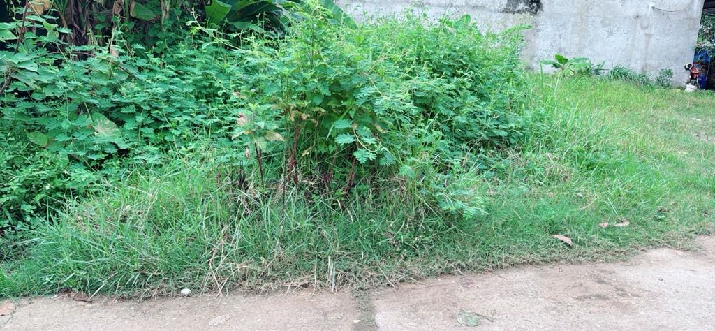 Đất Tiên Được, Sóc Sơn 54m² giá thỏa thuận - Đầu tư sinh lời cao!