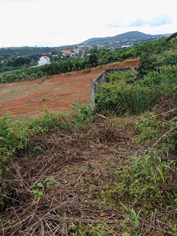 Đất nền phân lô tại Đông Thanh, Lâm Hà 6.851m² giá chỉ 11 tỷ - Đầu tư sinh lời cao!