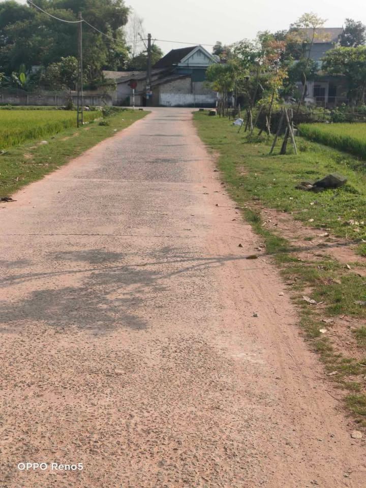 Đất nền Thạch Xuân 300m² giá 1.3 tỷ - Hướng Đông, 2 mặt tiền rộng rãi!