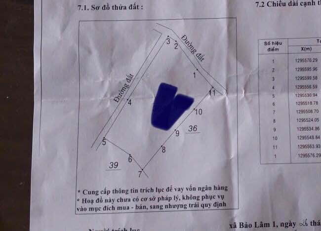 Farm cà phê Lộc Thắng Bảo Lâm 10800m² giá 950 triệu - Đầu tư sinh lời ngay!