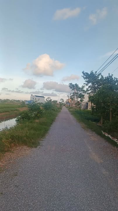 Đất trồng cây lâu năm 1500m² tại Ninh Giang - Thích hợp xây dựng nhà vườn