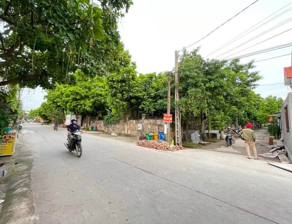 Đất nền 150m² tại Lạc Hồng, Văn Lâm - Đường ô tô tránh, giá thỏa thuận hấp dẫn!