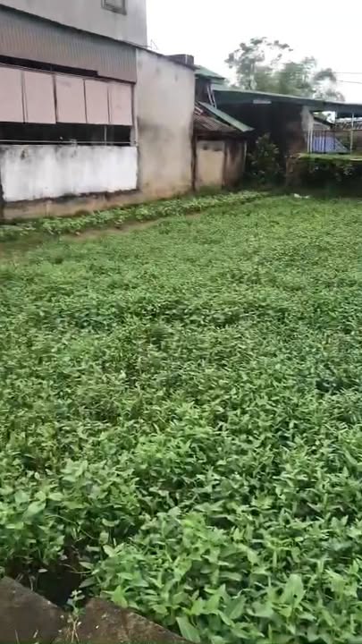 Đất nền góc 2 mặt tiền Trần Bình Trọng, Đông Vĩnh 100m² giá 3.39 tỷ - Cơ hội đầu tư hấp dẫn!