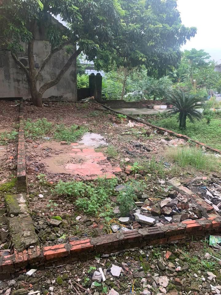 Đất nền Yên Nghĩa, Hà Đông 46m² giá 3.1 tỷ - Sổ đỏ chính chủ, mặt tiền 4m