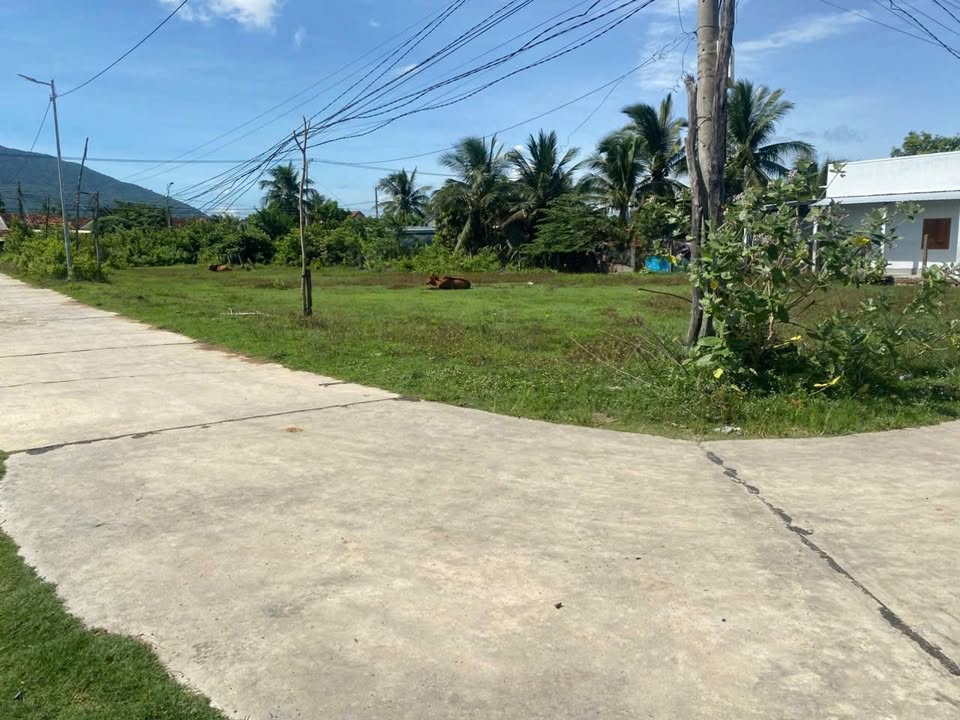 Đất thổ cư thôn Chánh Thanh, Ninh Hòa 176m² giá 900 triệu - Lô góc 2 mặt tiền