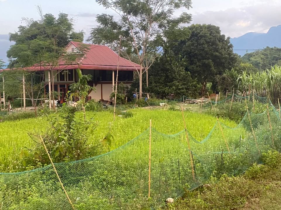 Đất nền Phú Vinh, Tân Lạc 2100m² giá 799 triệu - Cơ hội đầu tư tuyệt vời!