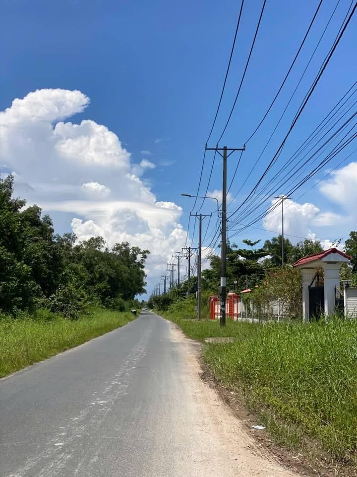 Đất nền Hải Thượng Lãn Ông, Cà Mau 972m² - Sổ đỏ chính chủ, giá chỉ 7 tỷ!