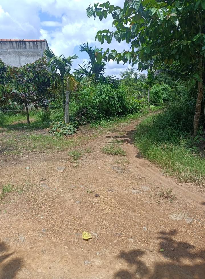 Đất nền Đắk Win Cư Jút 5200m² giá 880 triệu - Pháp lý đầy đủ, thổ cư sẵn!