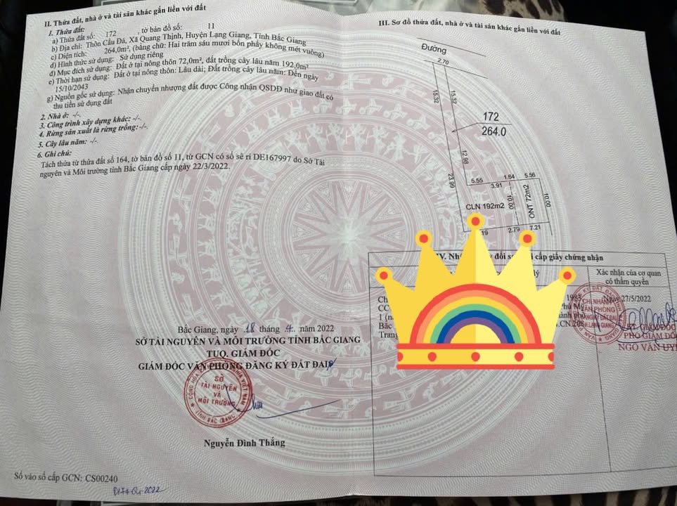 Đất thổ cư Quang Thịnh, Lạng Giang 165m² giá 700 triệu - Cơ hội đầu tư hấp dẫn!