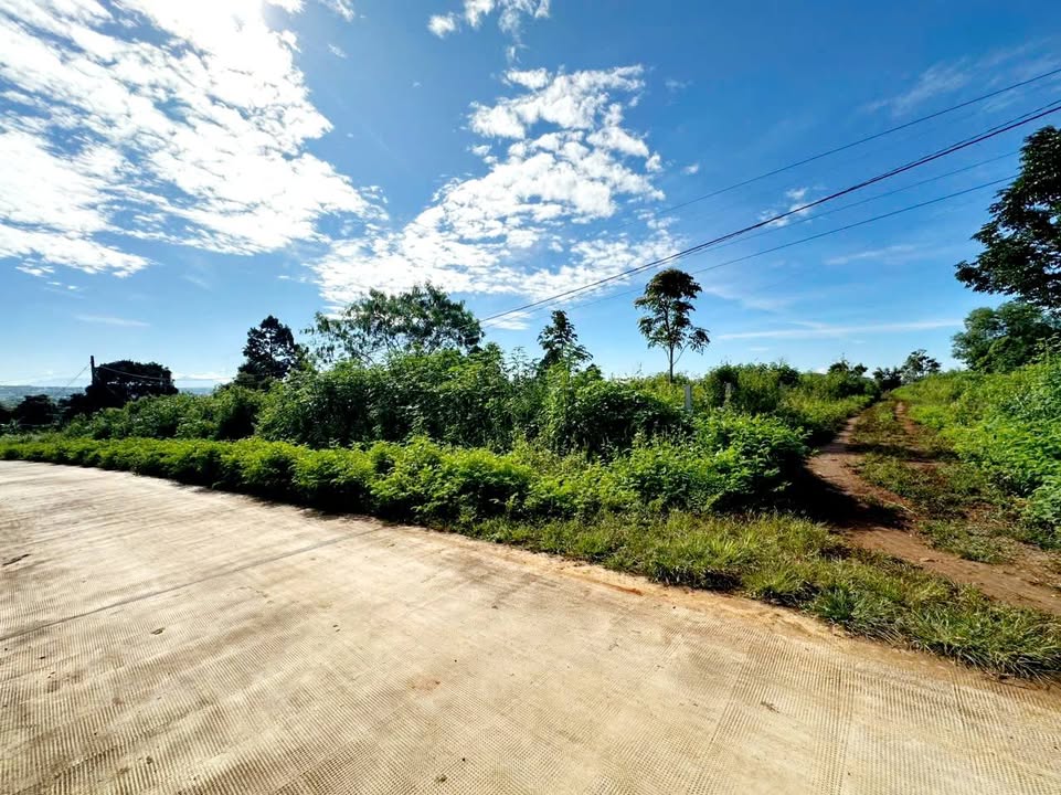 Đất nền lô góc 2 mặt tiền đường Dương Minh Châu, Pleiku 200m² - Đầu tư sinh lời tuyệt vời!