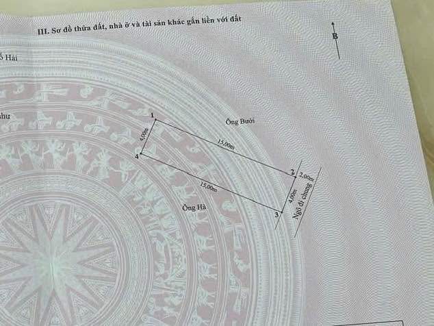 Nhà phố Lạch Tray 60m² giá 2.85 tỷ - Về ở ngay, tiện ích đầy đủ!