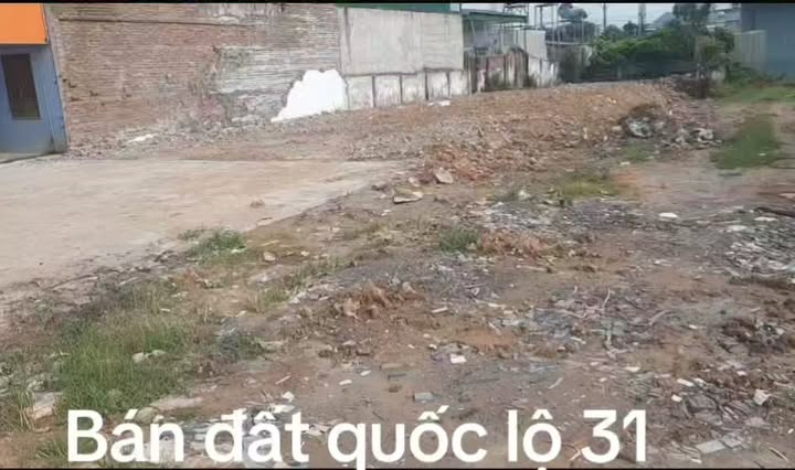 Đất thổ cư mặt đường Quốc lộ 31 tại Quý Sơn, Lục Ngạn 350m² - Cơ hội đầu tư không thể bỏ lỡ!