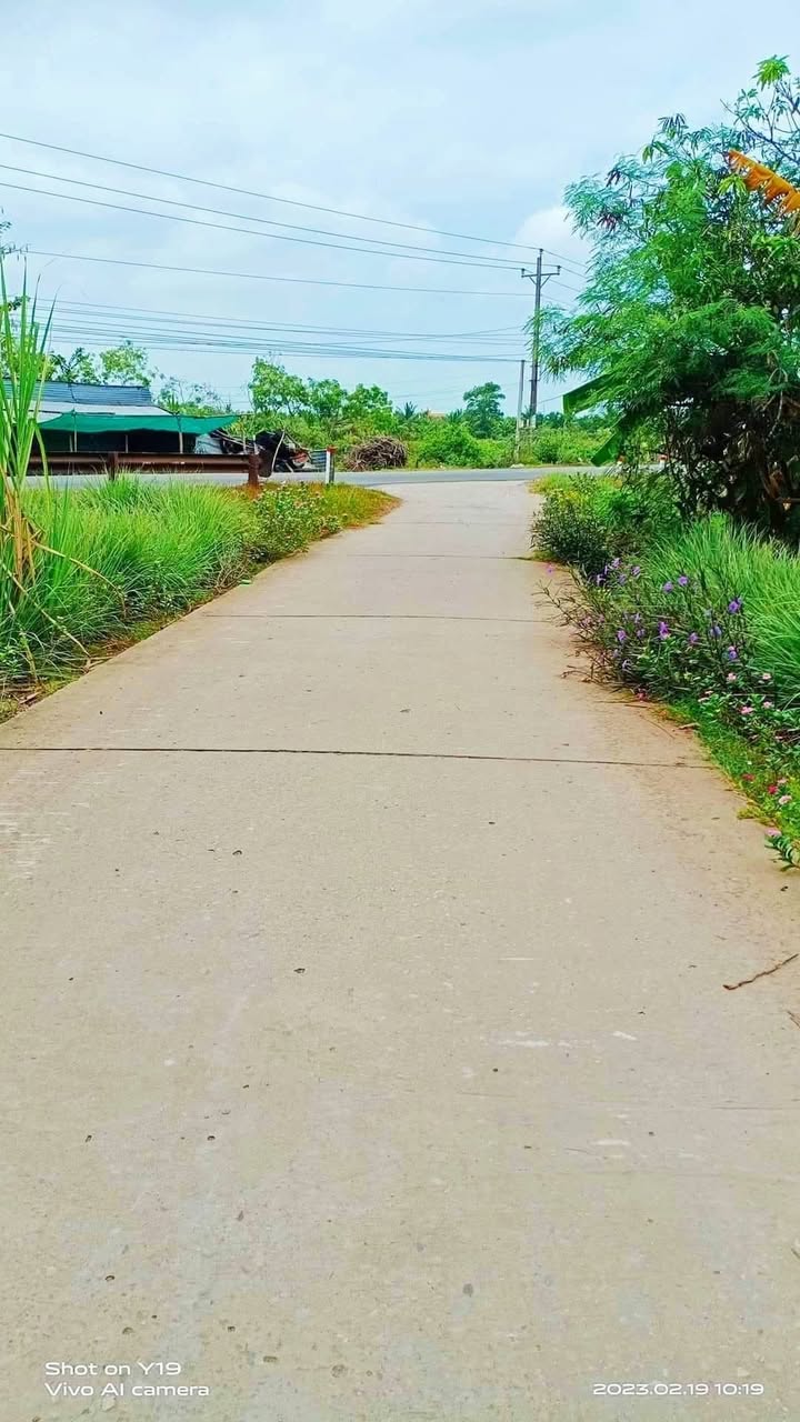 Đất nông nghiệp 3000m² phường 5, Sóc Trăng chỉ 550 triệu - Cơ hội không thể bỏ lỡ!