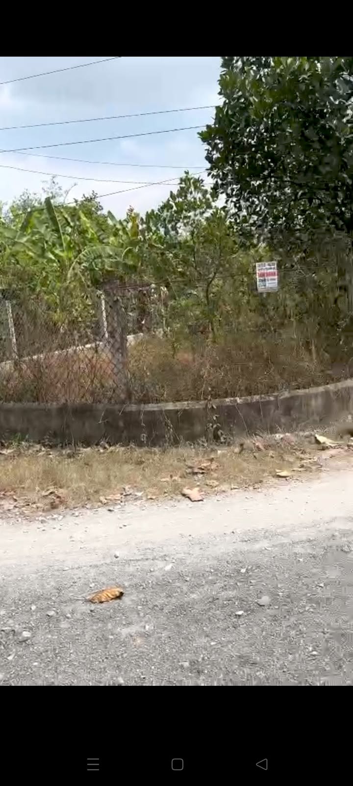 Đất vườn 326m² tại Ấp Bàu Công, Long An giá 840 triệu - Cơ hội vàng cho đầu tư!