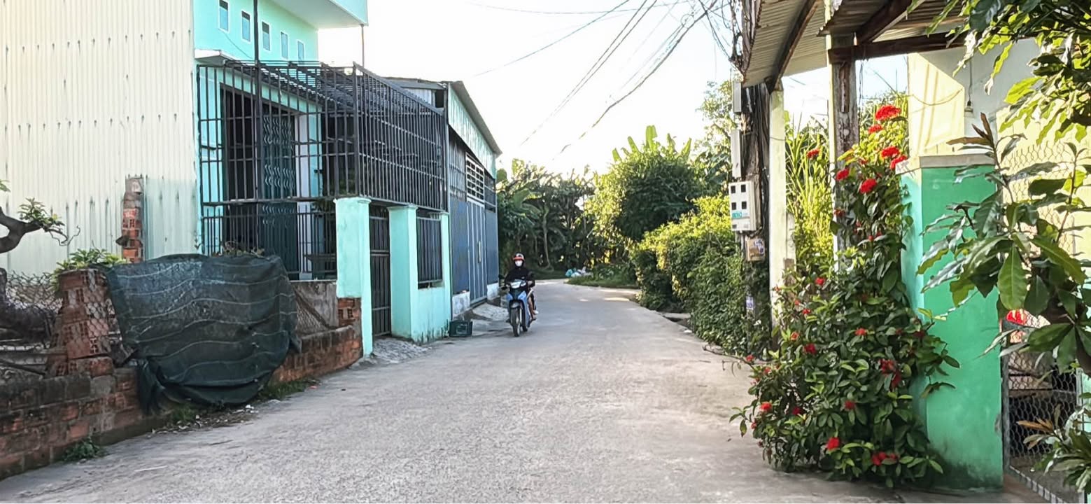 Đất Trần Quang Diệu Quy Nhơn 65m² giá 890 triệu - Vị trí đẹp, sổ hồng chính chủ!