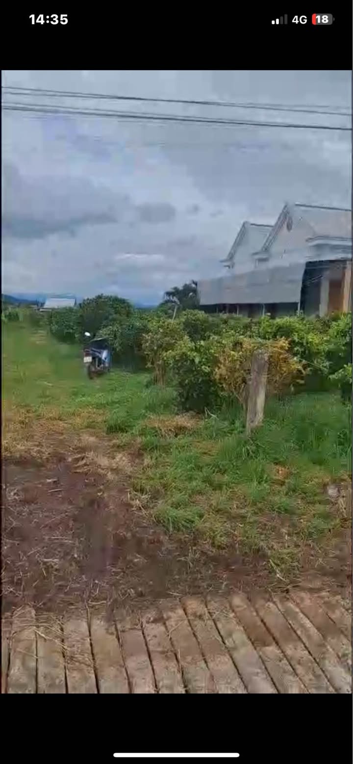 Đất thổ cư 1000m² tại Bình Thuận, Phan Thiết - Giá 650 triệu, cơ hội đầu tư tuyệt vời!