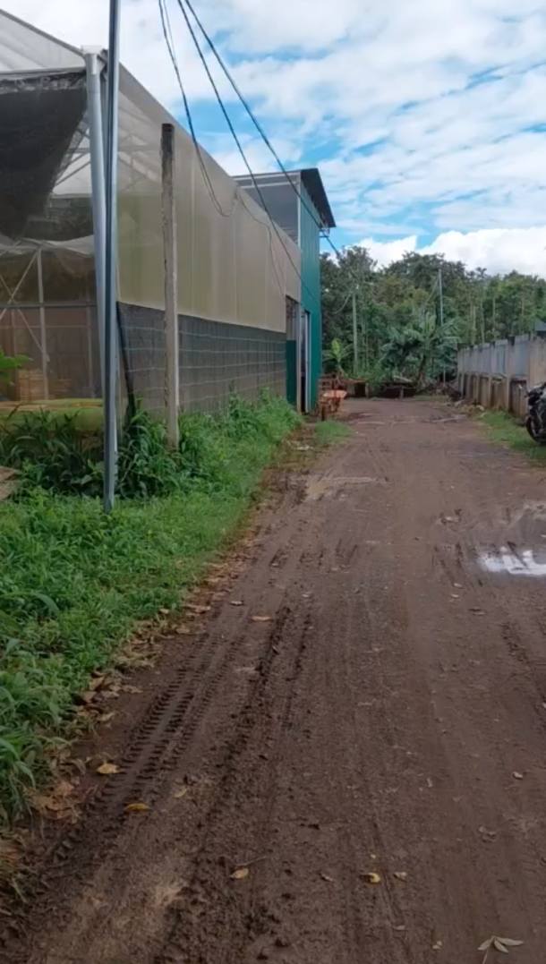 Đất nền 500m² phường Ea Kao, Buôn Ma Thuột – Giá chỉ 550 triệu, bớt lộc cho khách thiện chí!