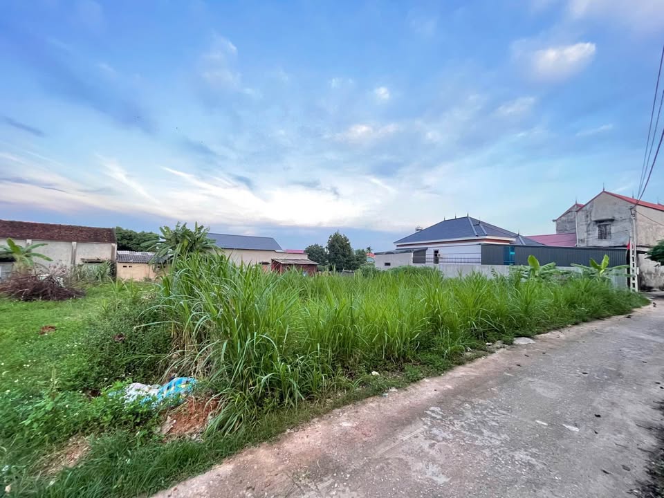 Đất nền thôn Quất, Hợp Đức, Tân Yên 118m² giá 700 triệu - Sổ đỏ chính chủ!