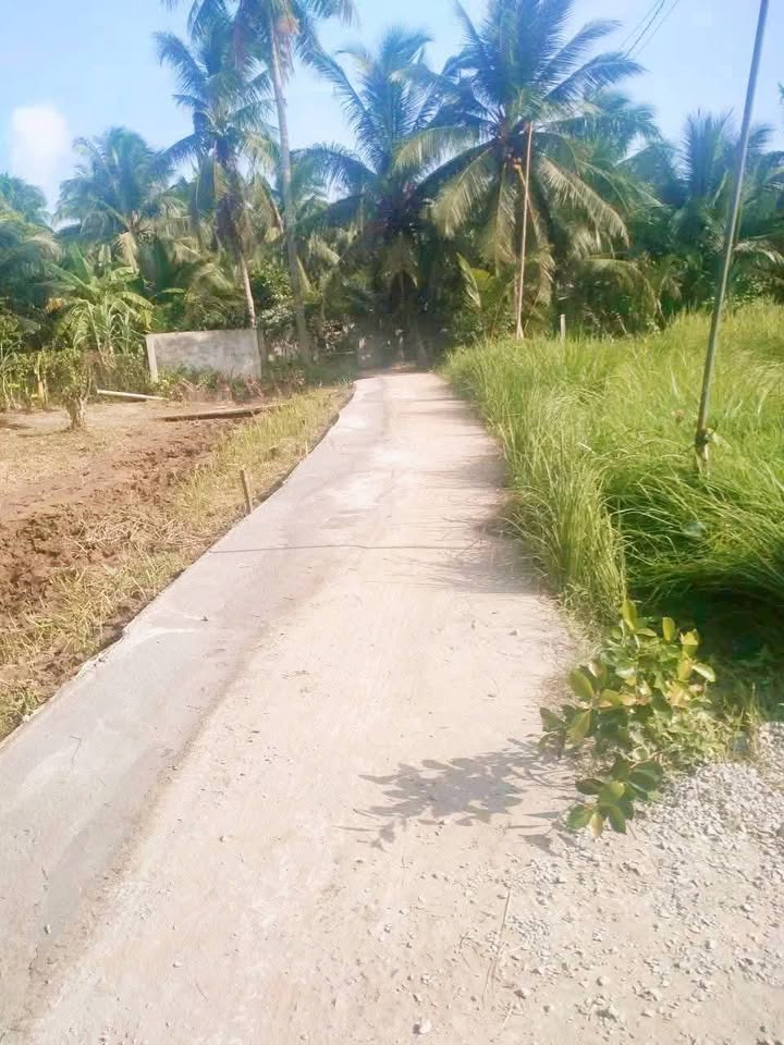 Đất nền chính chủ Nhơn Thạnh Bến Tre 314m² - Giá chỉ 499 triệu