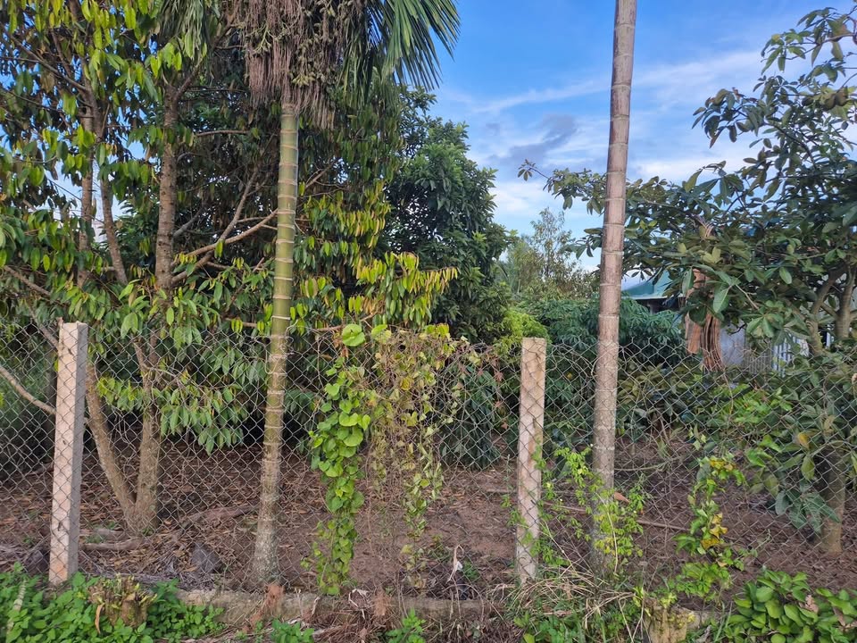 Đất thổ cư Ea Knốp 910m² giá 1.729 tỷ - Gần trung tâm hành chính!