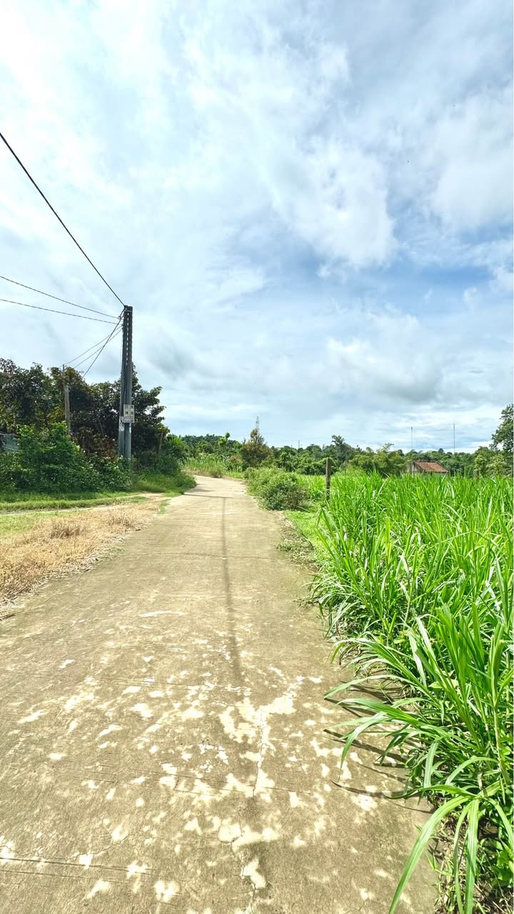 Đất thổ cư Ea Đar 480m² chỉ 500 triệu - Cơ hội vàng đầu tư!