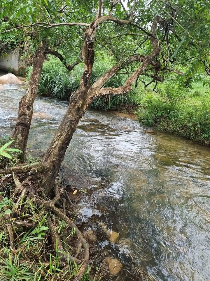 Đất thổ cư mặt tiền đường chính xã Giang Ly, Khánh Vĩnh 646m² giá 689 triệu - Đầu tư sinh lời!