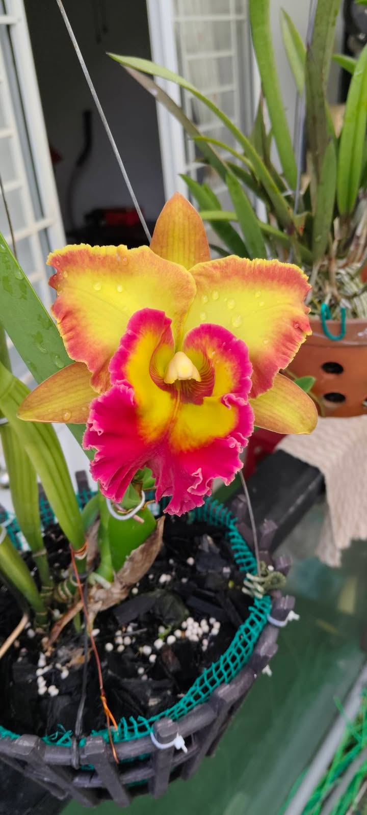 Mặt bằng cho thuê tại Nha Trang 20m² - Thích hợp kinh doanh và văn phòng!