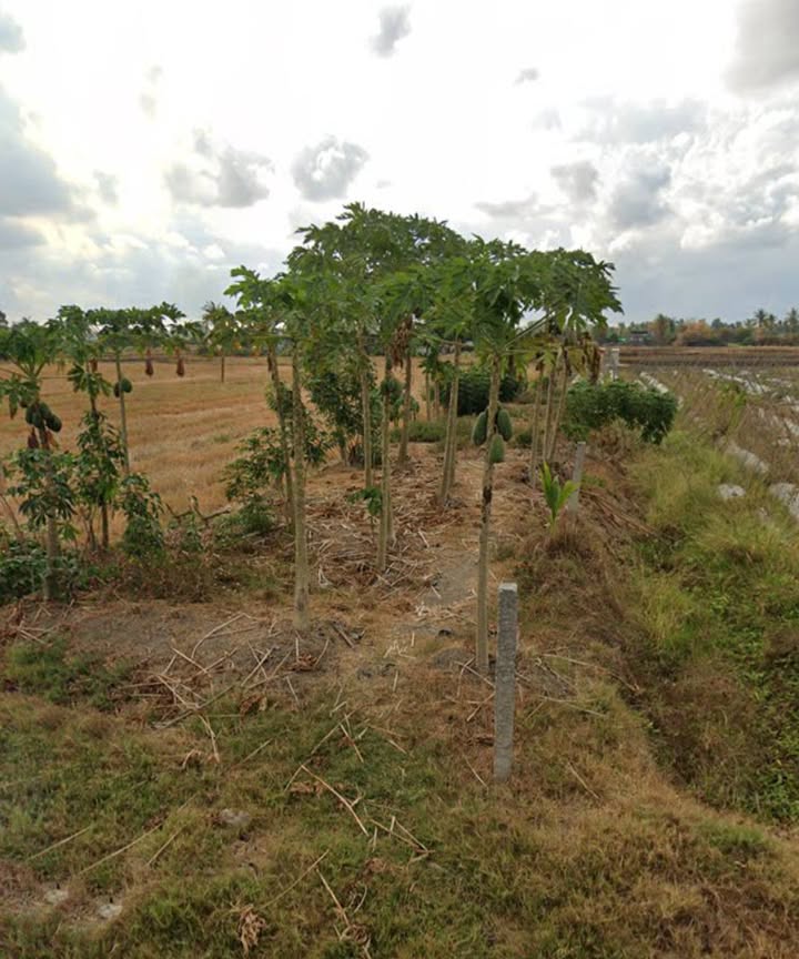 Đất thổ cư mặt tiền nhựa xã Bình Trịnh Đông, 228m² giá 1.6 tỷ - Cơ hội đầu tư hấp dẫn!