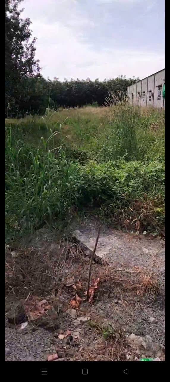 Đất mặt tiền ĐT 741, Tân Bình, 581m² - Giá thỏa thuận hấp dẫn!