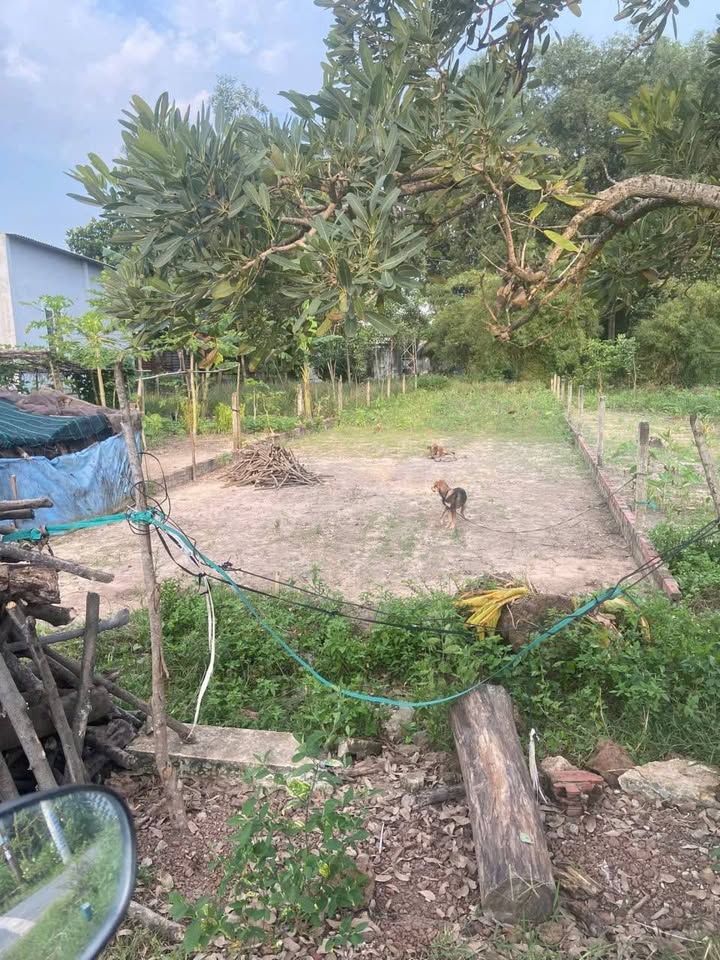 Đất thổ cư Đất Cuốc 204m² giá 1.7 tỷ - Đất nở hậu, vị trí tiềm năng!