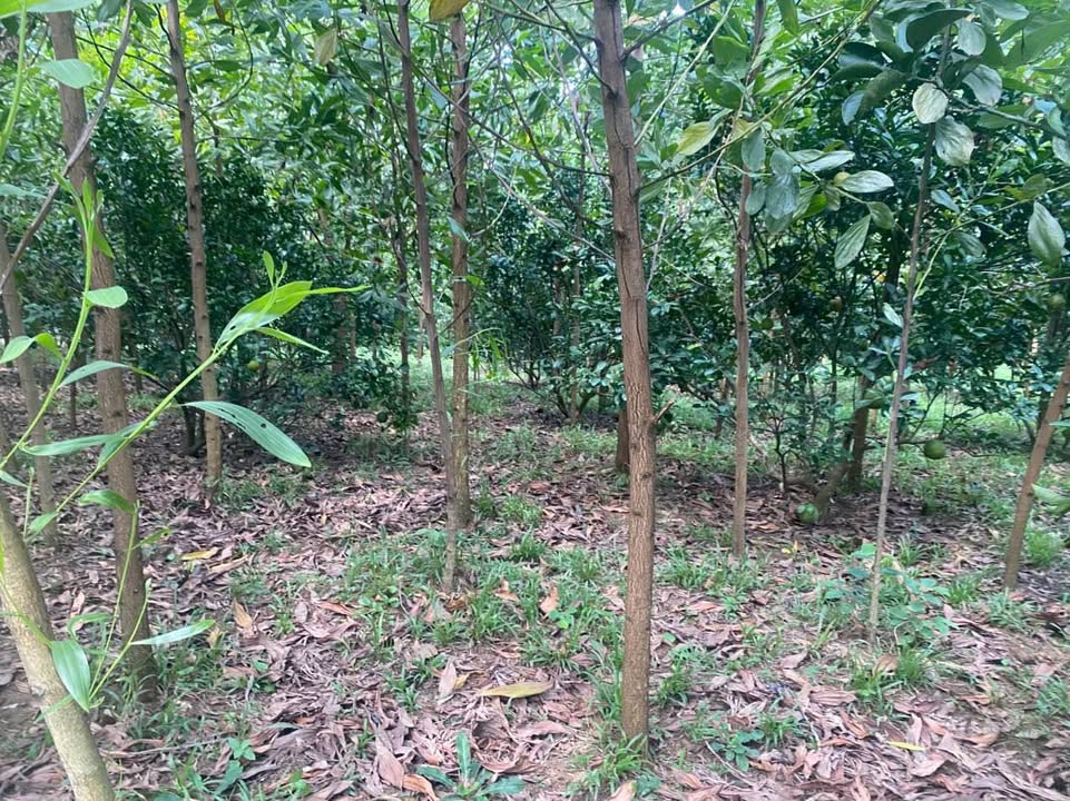 Đất Vĩnh Tiến Kim Bôi 2300m² giá 1 tỷ - Cơ hội đầu tư hấp dẫn!