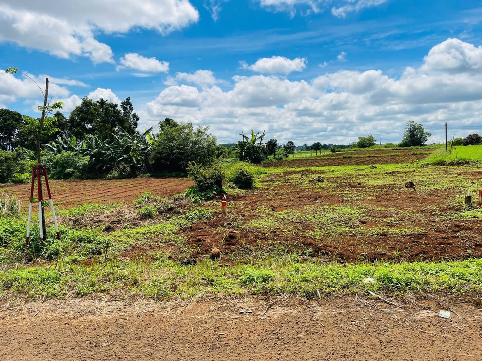 Đất mặt tiền Bùi Dự, Phường Pleiku, 150m² giá 1.19 tỷ - Đầu tư sinh lời!