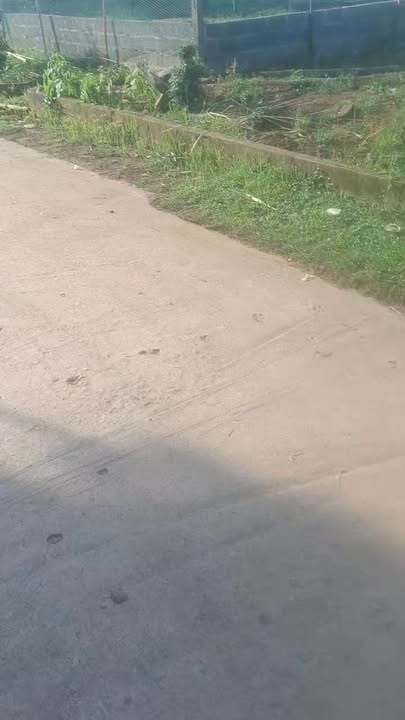 Đất nền Mỹ Hòa Tân Lạc 358m² giá 7 tỷ - Vị trí siêu đẹp, đầu tư sinh lời!