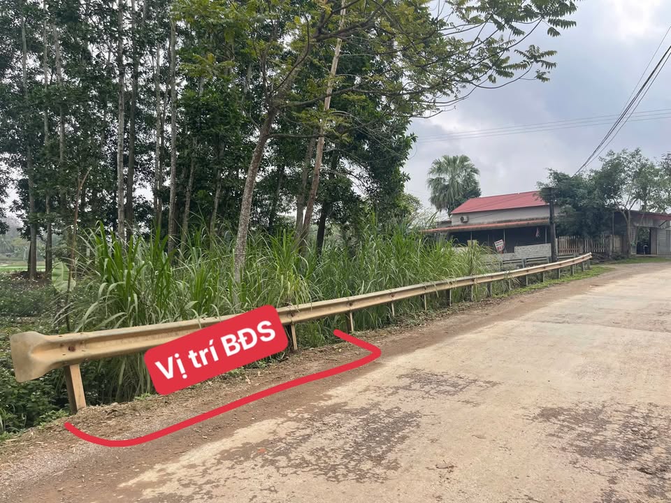 Đất thổ cư Minh Tiến, Ngọc Lặc 7m mặt tiền giá chỉ 200 triệu - Cơ hội đầu tư tuyệt vời!