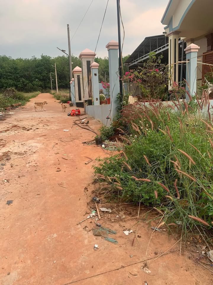 Đất thổ cư 256m² xã Lộc Thiện giá 350 triệu - Sổ đỏ chính chủ, vị trí đẹp!