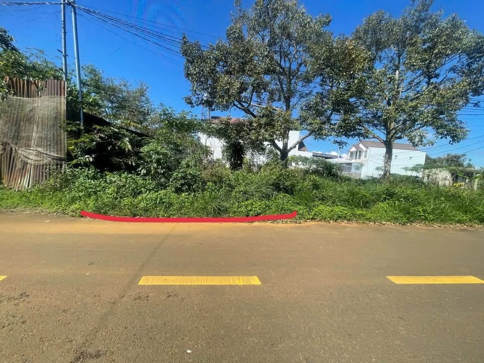 Đất nền Bảo Lộc 100m² giá 1.65 tỷ - Mặt tiền đường Nguyễn Trãi đẹp nhất khu!