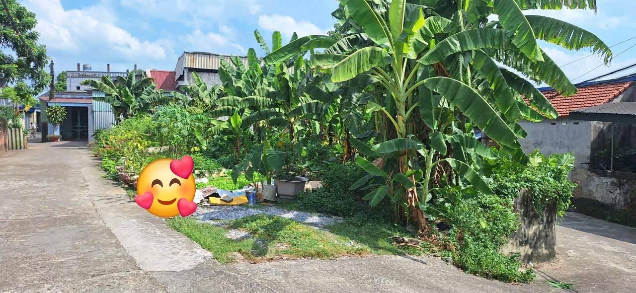 Đất nền Gia Sàng Thái Nguyên 70m² giá chỉ dưới 1 tỷ - Cơ hội đầu tư hấp dẫn!