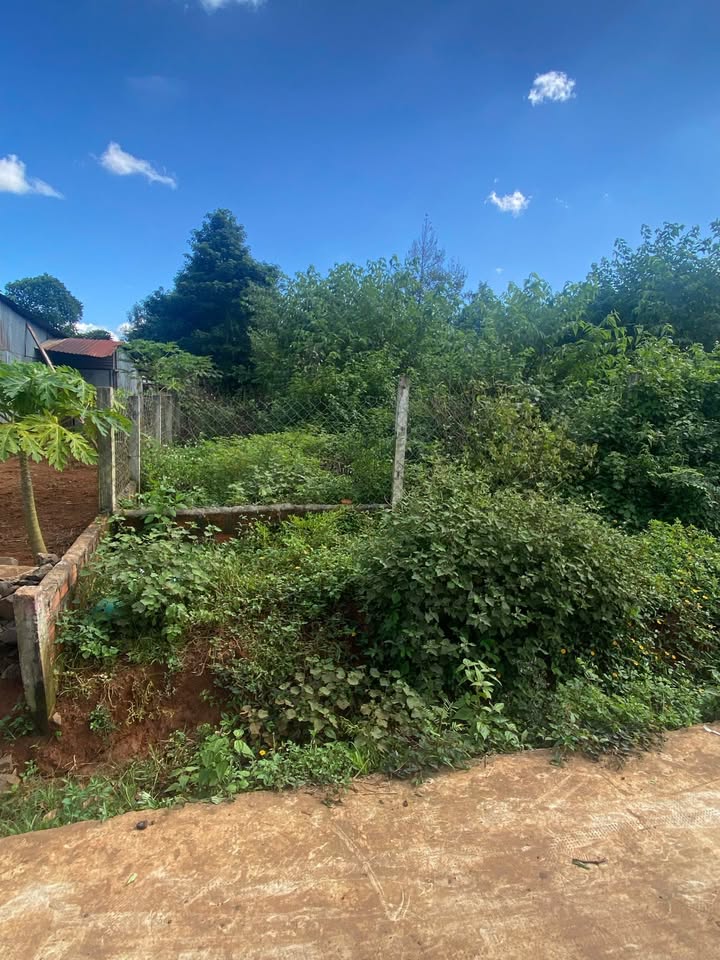 Đất mặt tiền Bùi Đình Túy 160m² giá 1.2 tỷ - Cơ hội đầu tư tuyệt vời!