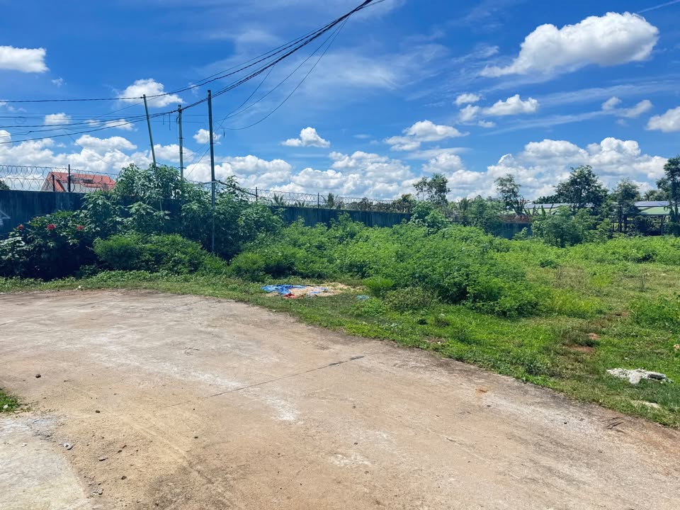 Đất nền Nguyễn Tuân, Phường Thắng Lợi, 215m² chỉ 1.1 tỷ - Cơ hội đầu tư tuyệt vời!