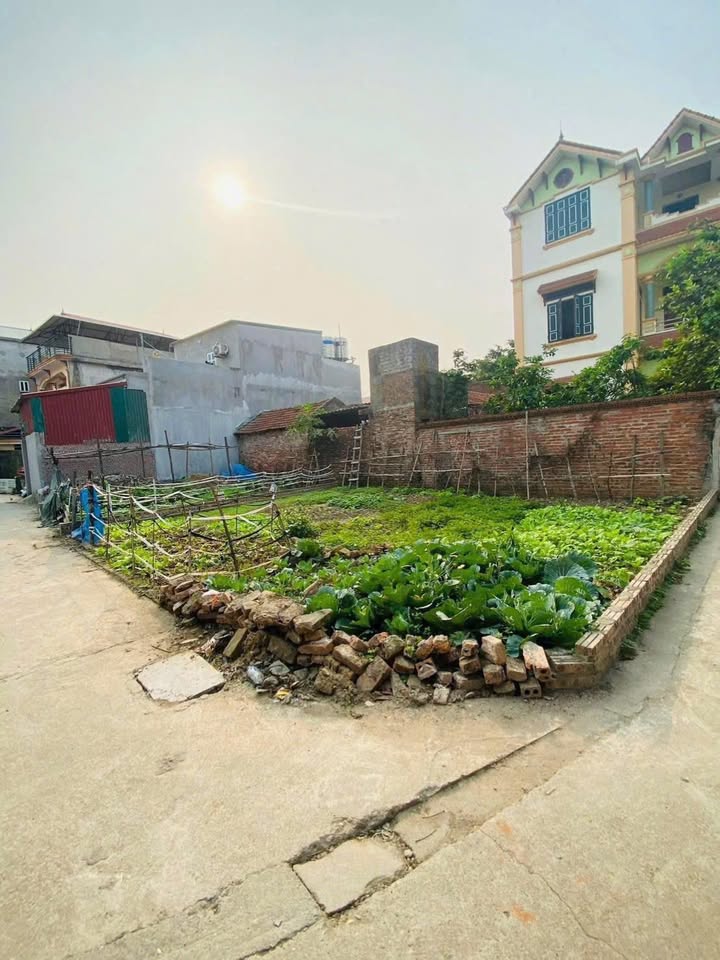 Đất nền Trà Lâm, Trí Quả, Thuận Thành 77m² giá 1.15 tỷ - Sổ đỏ chính chủ!