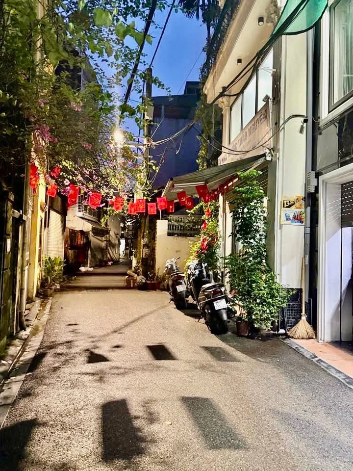 Nhà phố Bạch Mai - Trần Khát Chân 44m² giá thỏa thuận - Vị trí đắc địa, giảm gần 1 tỷ!