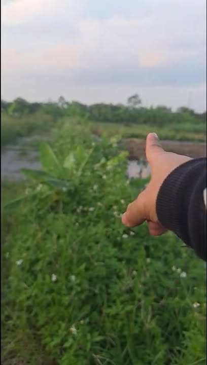 Đất vườn lô góc 264m² tại Sài Sơn, Quốc Oai - Giá chỉ 792 triệu!