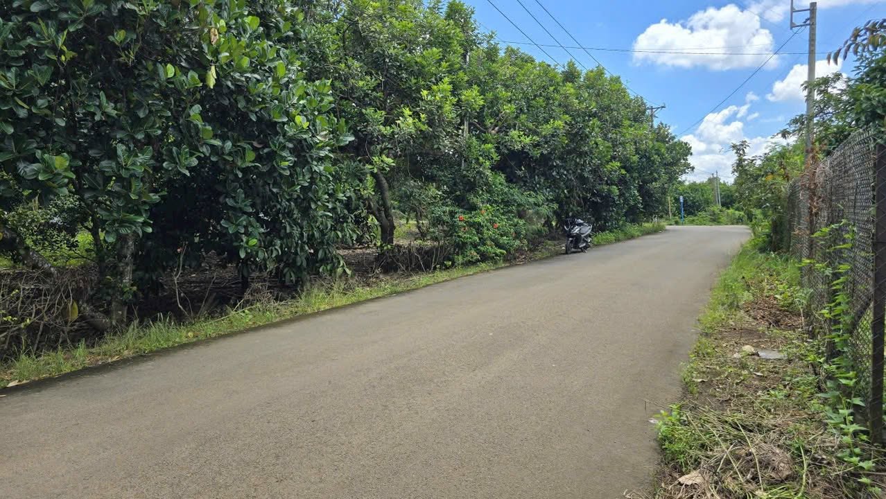 Đất thổ cư 100m² tại Bình Lộc, Long Khánh, Đồng Nai - Giá thỏa thuận, phù hợp làm nhà vườn!