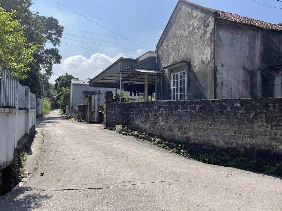 Đất nền Cao Xanh Hạ Long 1003m² giá 6.521 triệu - Đầu tư sinh lời cao!