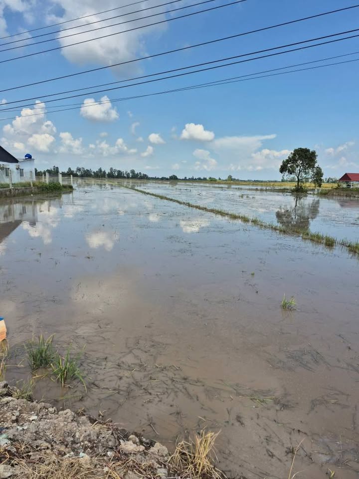 Đất ruộng mặt tiền đường Nguyễn Chánh 17.000m² chỉ 5.1 tỷ - Cơ hội đầu tư hấp dẫn!