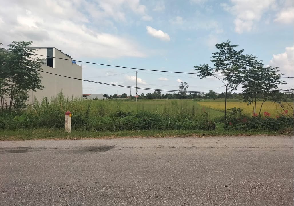 Đất nền Quốc lộ 10, Nga Sơn 100m² giá 1.1 tỷ - Đầu tư sinh lời ngay!