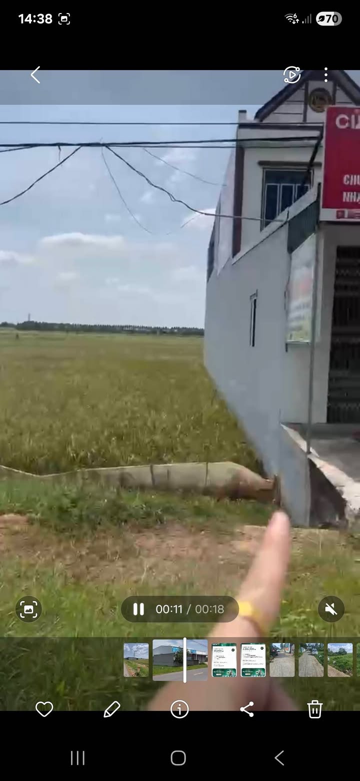 Đất nền chính chủ tại xã Nga Trường, Thanh Hóa 110m² - Giá hấp dẫn cho nhà đầu tư!