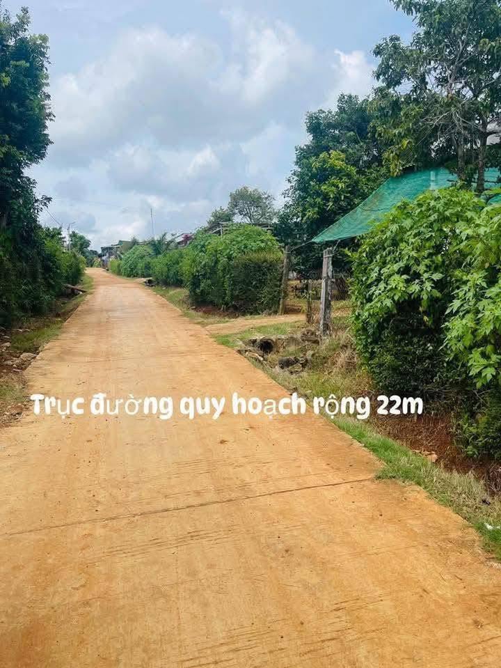 Đất thổ cư 198.4m² mặt tiền Nguyễn Trung Trực - Giá hạ chỉ 1.25 tỷ!