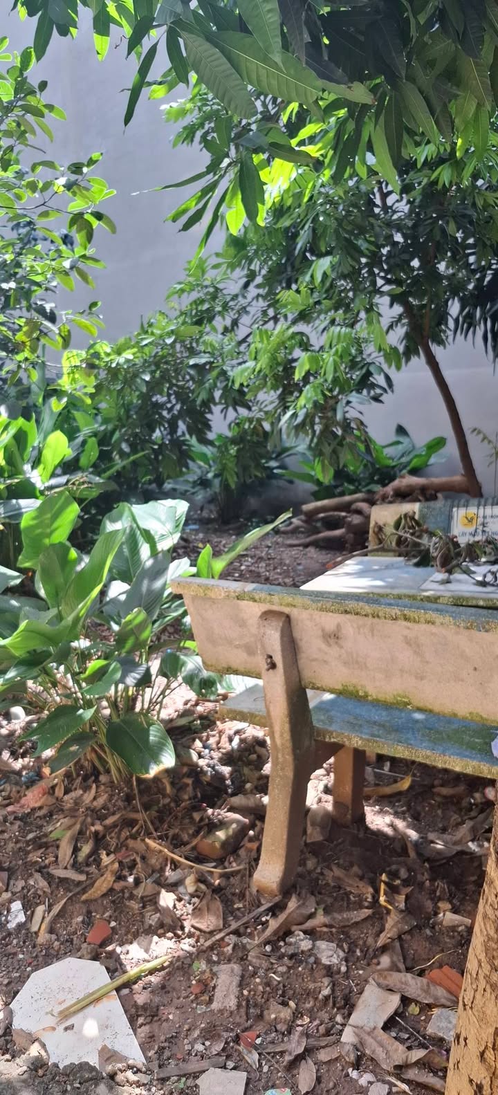 Đất lô góc 52m² Liên Mạc, Bắc Từ Liêm - Sổ đỏ chính chủ, giá chỉ 6 tỷ!