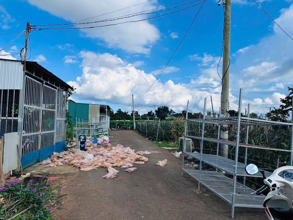 Đất nền Đức Trọng 110m² giá 1 tỷ - Cơ hội đầu tư không thể bỏ lỡ!